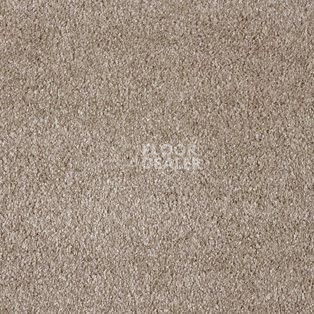 Ковролин AW Parana 34 фото 1 | FLOORDEALER